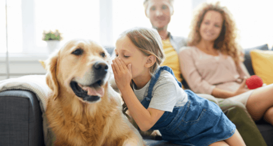 How to make the move easier for your pets