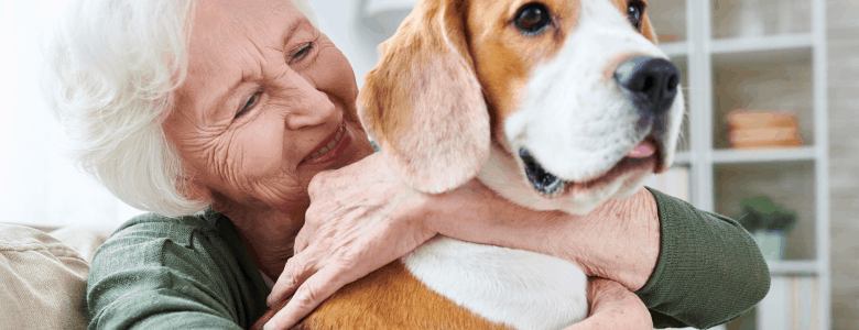 How to Keep Pets Safe When Getting Pest Control Treatments