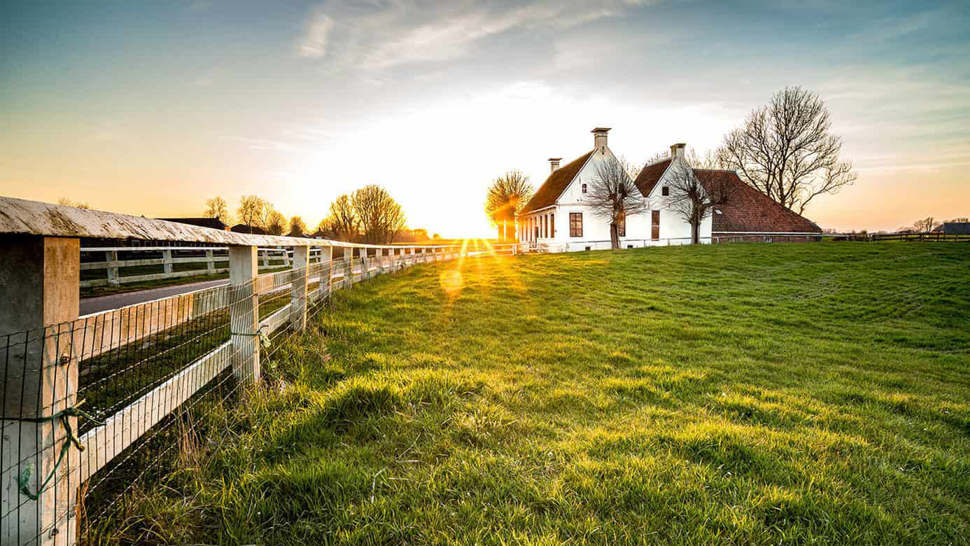 house-green-grass-area-new