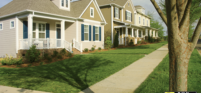House with a sidewalk and tree in the front